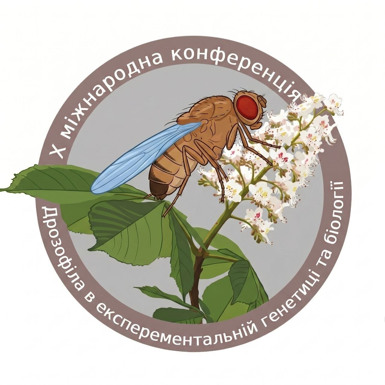 X Міжнародна конференція «Дрозофіла в експериментальній генетиці та біології» 17.06.2027 – 19.06.2027